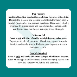 Mississippi Candle Company Diffusers & Dryer Ball Oil