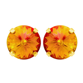 The Basic Studs in Bohemian Wonderland