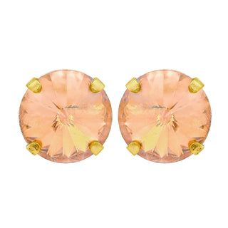 The Basic Studs in Bohemian Wonderland