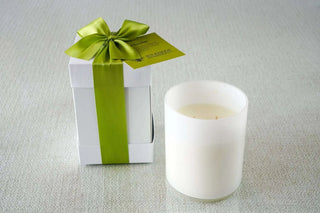 Fresh Bamboo B’s Knees Fragrance Co Candles