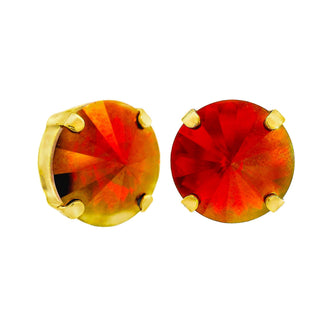 The Basic Studs in Bohemian Wonderland