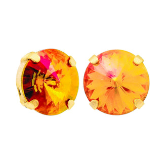 The Basic Studs in Bohemian Wonderland