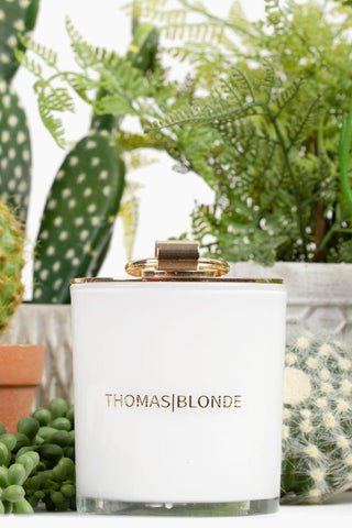 The "Topless Blonde" Candle - Joshua Tree - 12 oz.